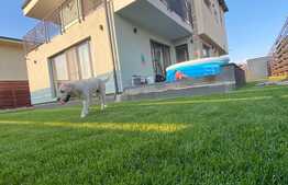 Casa individuala cu arhitectura moderna, 155 mp, 328 teren, zona de case 