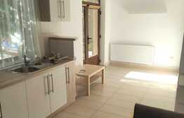 Apartament cu 2 camere, 55 mp, zona strazii Fabricii 