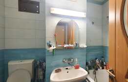 Apartament decomandat, 61 mp utili, etaj intermediar, zona Calea Baciului