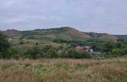 Teren extravilan, 920 mp, in satul Tauti