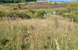 Teren extravilan, 1400 mp, zona strazii Stejarului