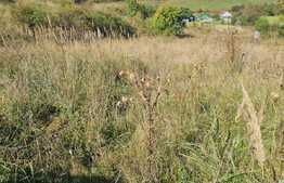 Teren extravilan, 1400 mp, zona strazii Stejarului