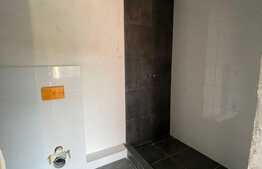 Imobil cu functiune mixta , sediu societate si locuinte de serviciu, 742 teren, Luna de Sus 