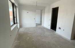 Imobil cu functiune mixta , sediu societate si locuinte de serviciu, 742 teren, Luna de Sus 