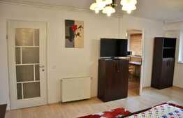 Apartament luminos cu 1 camera, decomandat, 40 mp, zona Pta Mihai Viteazul