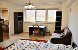 Apartament luminos cu 1 camera, decomandat, 40 mp, zona Pta Mihai Viteazul