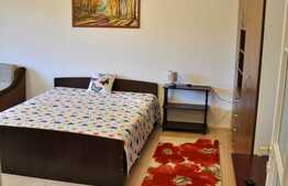 Apartament luminos cu 1 camera, decomandat, 40 mp, zona Pta Mihai Viteazul