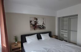 Comision 0%! Apartament 2 camere, LUX, 58 mp, gradina 30 mp, Zona Teilor