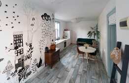 Casa superba de locuit/spatiu birouri, pet friendly, zona Piata Cipariu