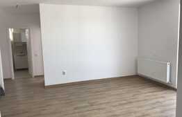 Apartament de 2 camere, finisat, 52 mp, zona Teilor