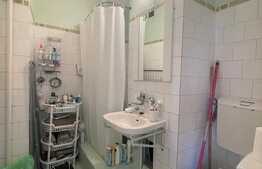 Garsoniera cocheta, 22 mp, pet friendly, zona Fsega