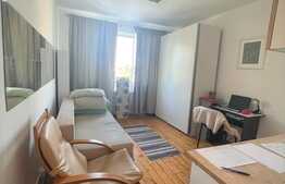 Garsoniera cocheta, 22 mp, pet friendly, zona Fsega