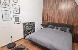 Apartament modern, acces restrictionat, parcare, aer conditionat, semineu, zona Cetatii