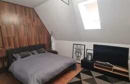 Apartament modern, acces restrictionat, parcare, aer conditionat, semineu, zona Cetatii