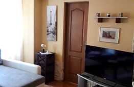 Apartament 2 camere la vila, curte, 50 mp, cartierul Andrei Muresan