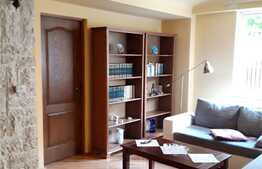 Apartament 2 camere la vila, curte, 50 mp, cartierul Andrei Muresan