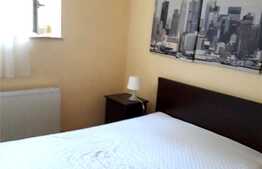 Apartament 2 camere la vila, curte, 50 mp, cartierul Andrei Muresan