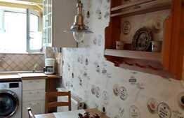 Apartament 2 camere la vila, curte, 50 mp, cartierul Andrei Muresan