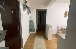 Apartament cu 2 camere, 50 mp, zona strazii Fantanele
