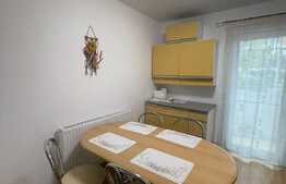 Apartament cu 2 camere, 50 mp, zona strazii Fantanele