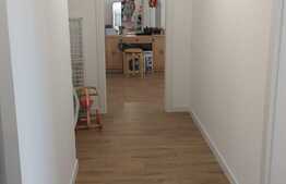 Penthouse de lux la 10 minute de centru!