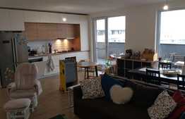 Penthouse de lux la 10 minute de centru!