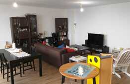 Penthouse de lux la 10 minute de centru!