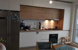 Penthouse de lux la 10 minute de centru!