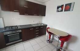 Apartament 1 camera, 35 mp, prima inchiriere, zona strazii Plevnei