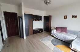 Apartament 1 camera, 35 mp, prima inchiriere, zona strazii Plevnei