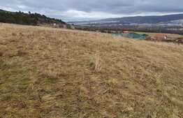 Oportunitate investitie! Teren extravilan, 428 mp, front 17 ml, centura Nord, Donath