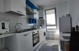 Apartament exclusivist de 2 camere langa lulius Mall si Iulius Park!