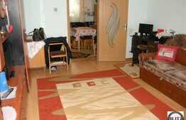 Apartament 1 camera decomandata, 30 mp,  in zona Real