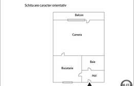 Apartament 1 camera decomandata, 30 mp,  in zona Real