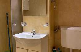 Garsoniera, 30 mp, balcon, centrala termica proprie, zona Kaufland