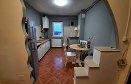 Apartament 2 camere, 60 mp, pet friendly