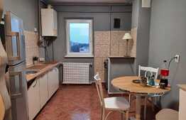 Apartament 2 camere, 60 mp, pet friendly