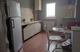 Apartament 2 camere, 60 mp, pet friendly