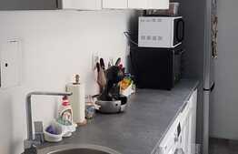  Casa zona Cipariu, 42 mp utili, 159 mp teren