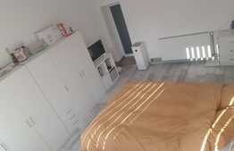  Casa zona Cipariu, 42 mp utili, 159 mp teren