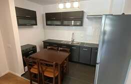 Apartament de inchiriat cu 2 camere, loc de parcare, terasa, zona Lidl