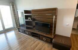 Apartament de inchiriat cu 2 camere, loc de parcare, terasa, zona Lidl