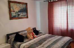 Apartament 2 camere decomandate, 50 mp, parter, zona Centrala!