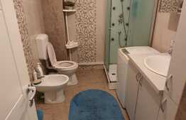 Apartament 3 camere, etaj intermediar, 56,3 mp, terasa 40 mp, zona strazii Fabricii