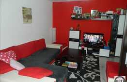 Apartament cu 2 camere, 57 mp, zona TERRA! Imobil nou! Mobilat modern!