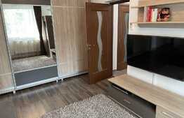 Apartament 2 camere, 50 mp, AC, prima inchiriere, zona Parcului Central