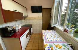 Apartament de 2 camere, 45 mp, zona Grivitei 
