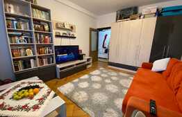 Apartament de 2 camere, 45 mp, zona Grivitei 
