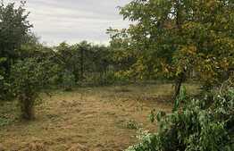 Oportunitate! Casa individula, teren 420 mp, front 12, Zona Maramuresului