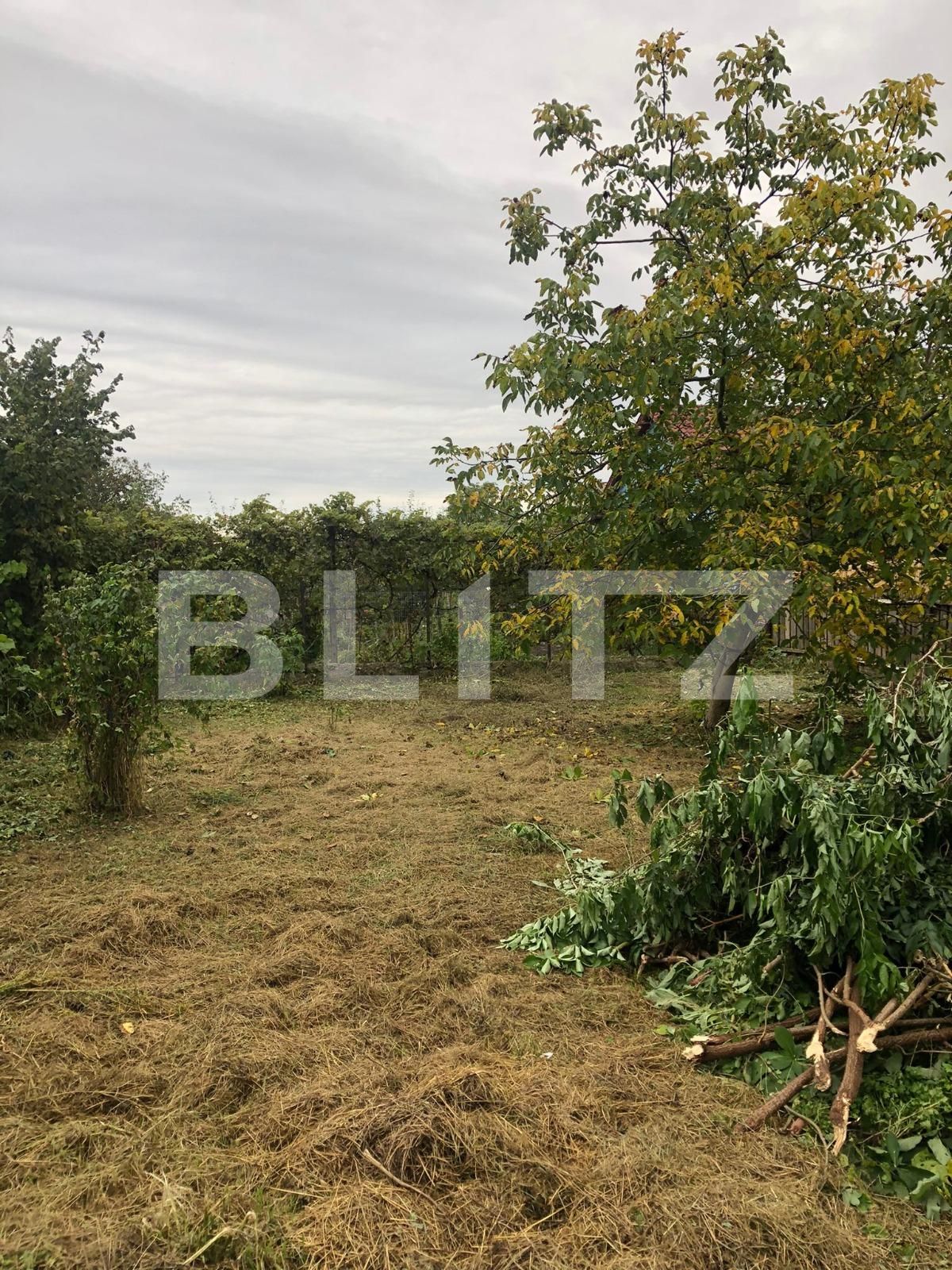 Casa de vânzare 2 camere Dambul Rotund - 72619CV | BLITZ Cluj-Napoca | Poza4